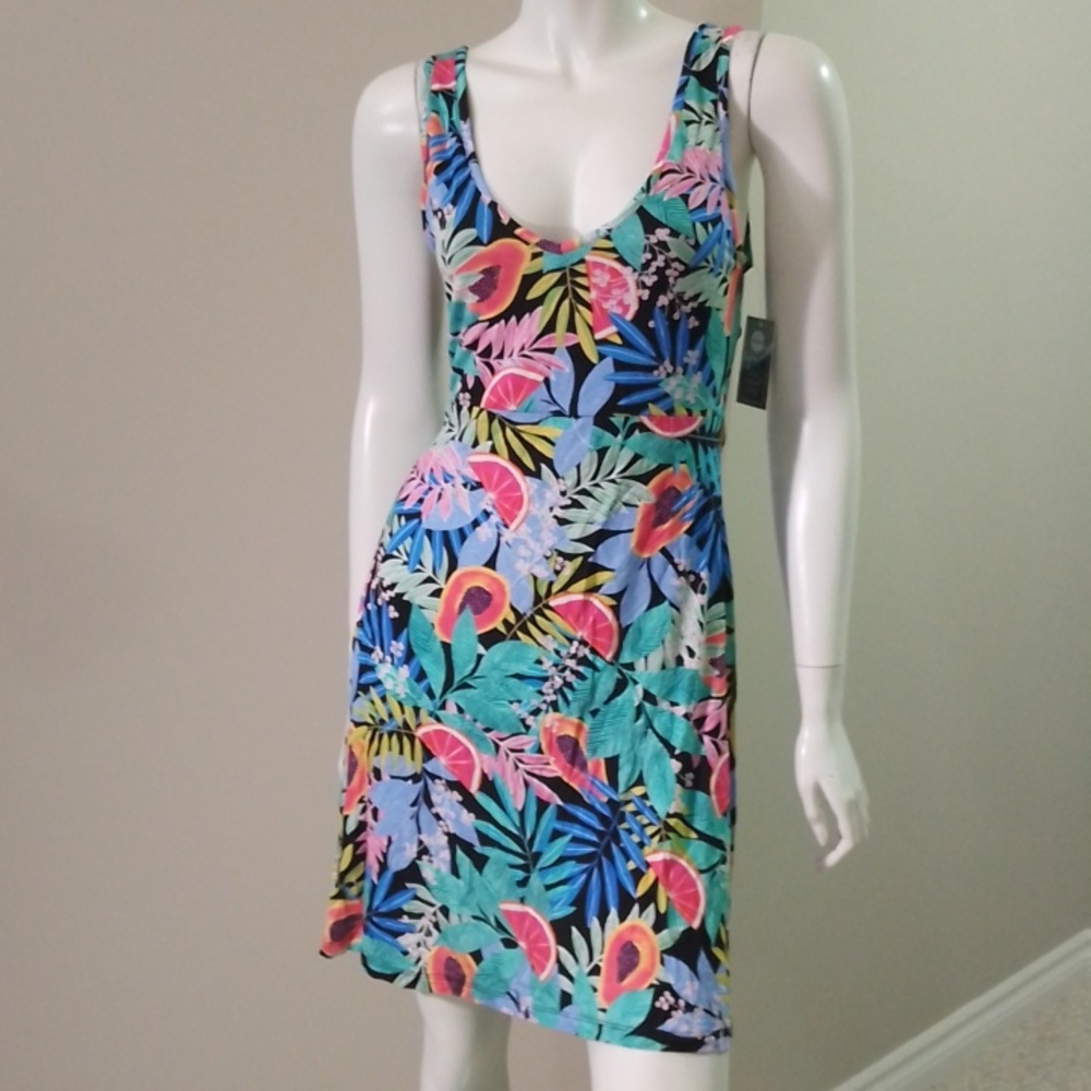 ! A5🎊Eidon L papaya Amaya sheer dress NWT